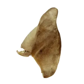 Bones & Co Freeze Dried Pig Ear