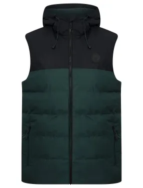 Tarlo Micro-Fleece Lined Hooded Quilted Puffer Gilet in Jet Black - Tokyo Laundry